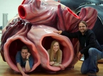 Mavi Balina Kalbi Mavi Balina Ölçülerinin Karşılaştırılması